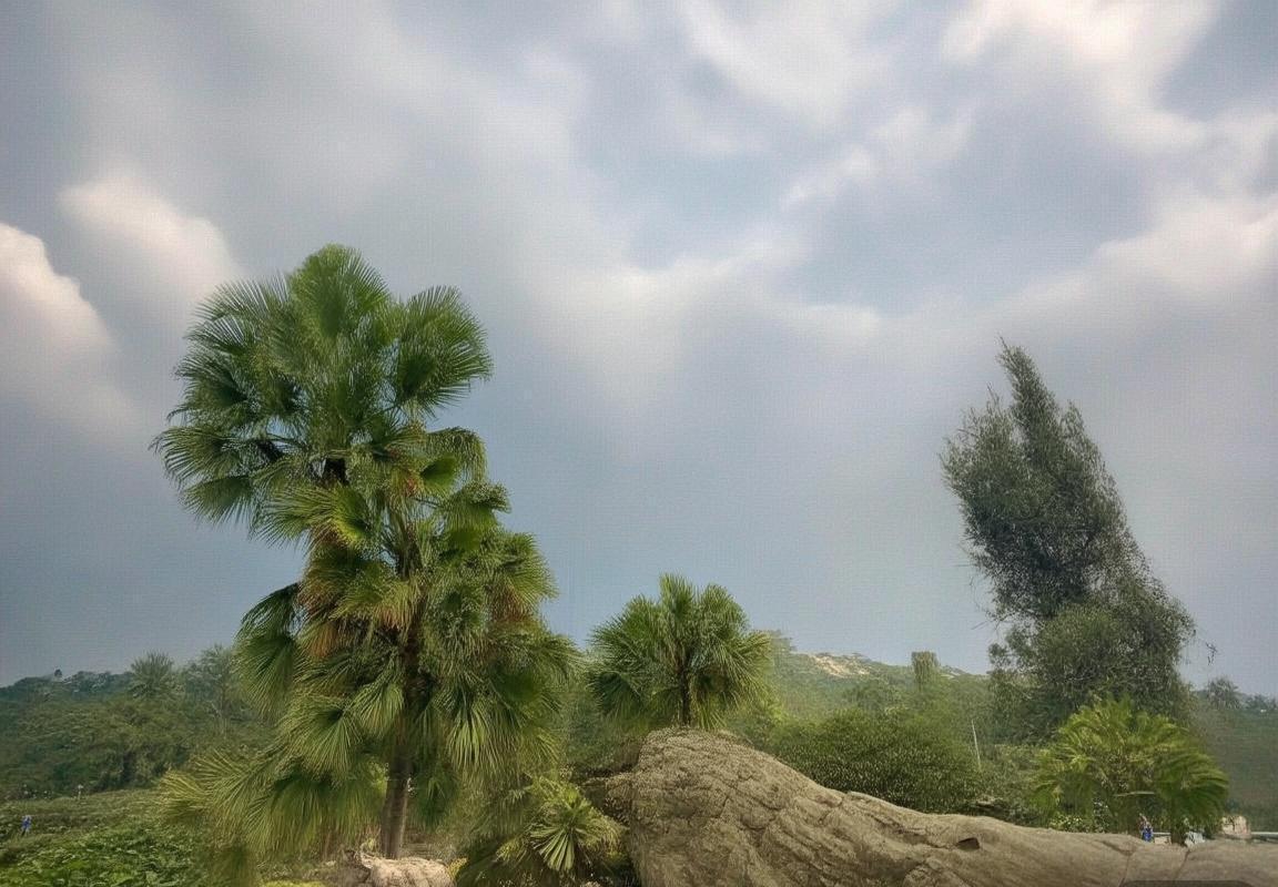 厄德高：引领足球新潮流的战术大师与团队精神践行者